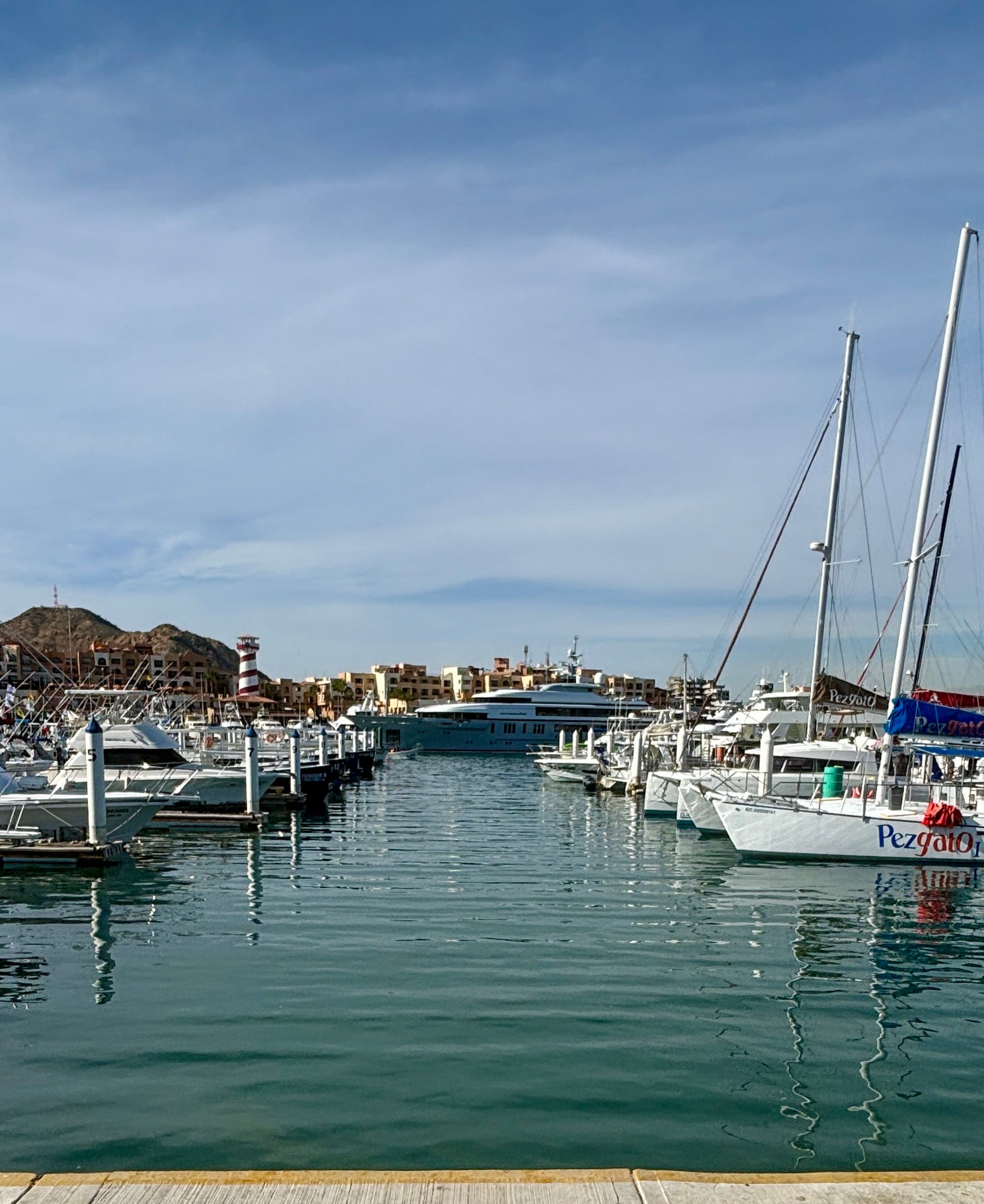 Boats and waterfront buildings in the Cabo San Lucas marina.